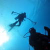 Picture taken during the dive