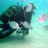 Picture taken during the dive