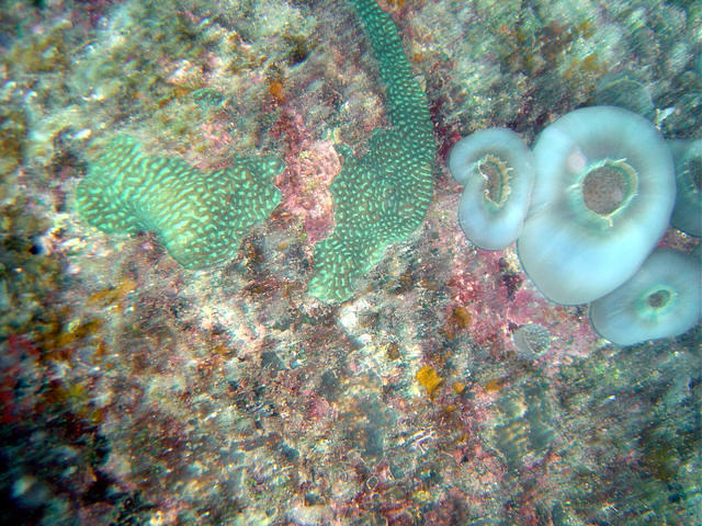 Steffen Sea Sports - Dive Center in Malaysia
