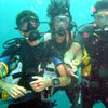 Picture taken during the dive