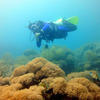 Picture taken during the dive
