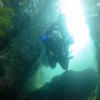 Picture taken during the dive