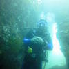Picture taken during the dive