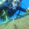 Picture taken during the dive