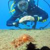 Picture taken during the dive