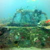 Picture taken during the dive