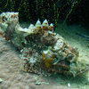 Picture taken during the dive