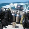 Picture taken during the dive