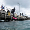 Picture taken during the dive