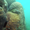 Picture taken during the dive