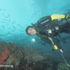 Picture taken during the dive