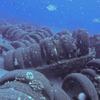 Picture taken during the dive