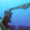 Picture taken during the dive