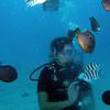 Picture taken during the dive
