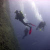 Picture taken during the dive