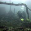 Picture taken during the dive