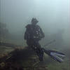 Picture taken during the dive