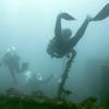Picture taken during the dive