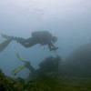 Picture taken during the dive