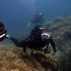 Picture taken during the dive