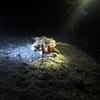 Picture taken during the dive