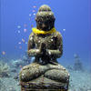 Picture taken during the dive