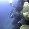 Picture taken during the dive
