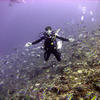 Picture taken during the dive