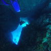 Picture taken during the dive