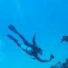 Picture taken during the dive
