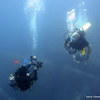 Picture taken during the dive