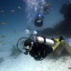 Picture taken during the dive