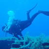 Picture taken during the dive