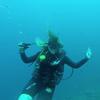 Picture taken during the dive