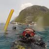 Picture taken during the dive