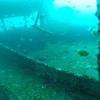 Picture taken during the dive