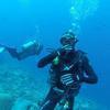 Picture taken during the dive