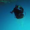 Picture taken during the dive