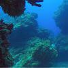 Picture taken during the dive