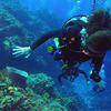 Picture taken during the dive