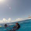 Picture taken during the dive
