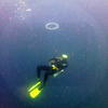 Picture taken during the dive