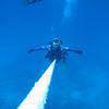 Picture taken during the dive
