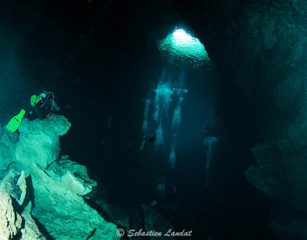 Daktari Surf & Dive - Dive Center in Australia