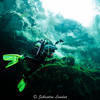 Picture taken during the dive