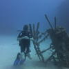 Picture taken during the dive