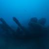 Picture taken during the dive