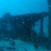 Picture taken during the dive