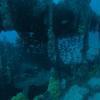 Picture taken during the dive