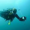 Picture taken during the dive